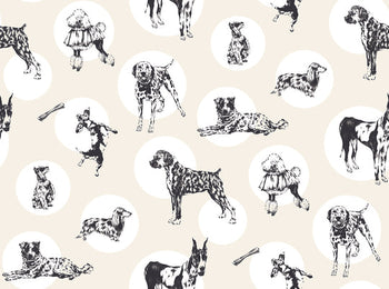 Dogs